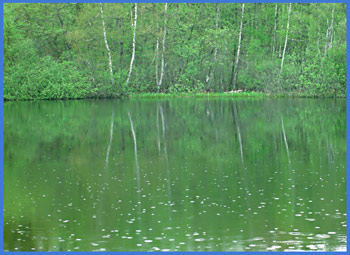 am See